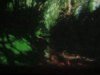 ZUR instantane angers -96585